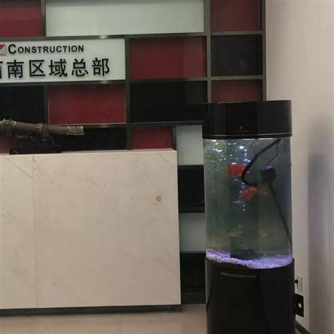 門口養魚風水